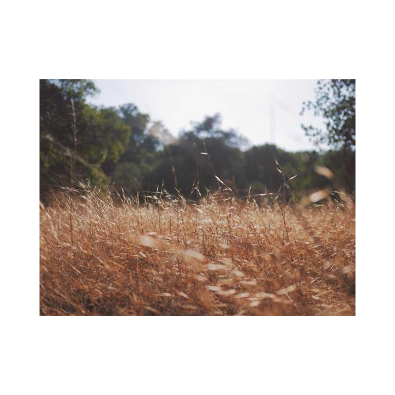 Ergonomic Aluminum Chair fr-FR